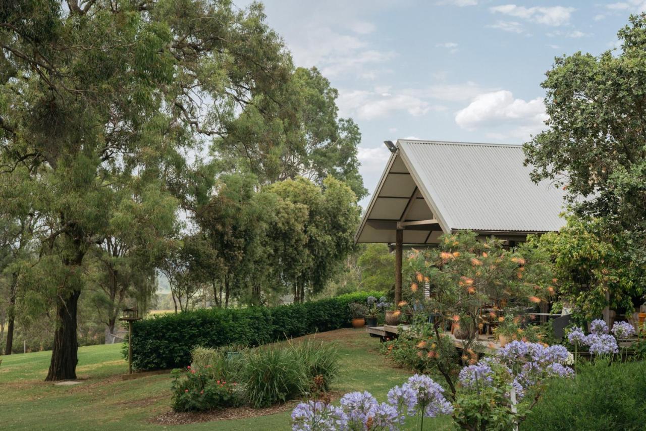 Elfin Hill Vineyard Accommodation 波高尔宾 外观 照片