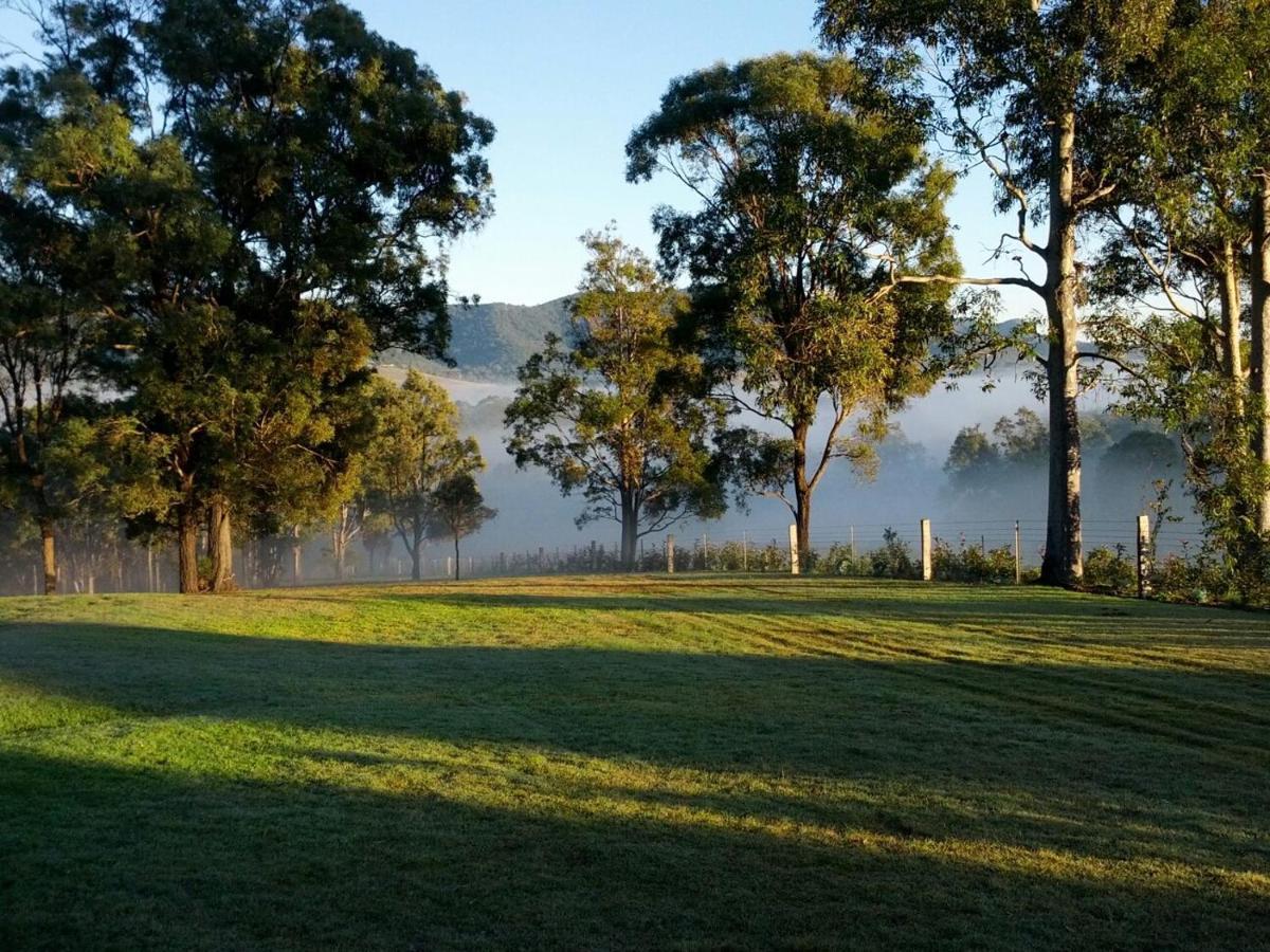 Elfin Hill Vineyard Accommodation 波高尔宾 外观 照片