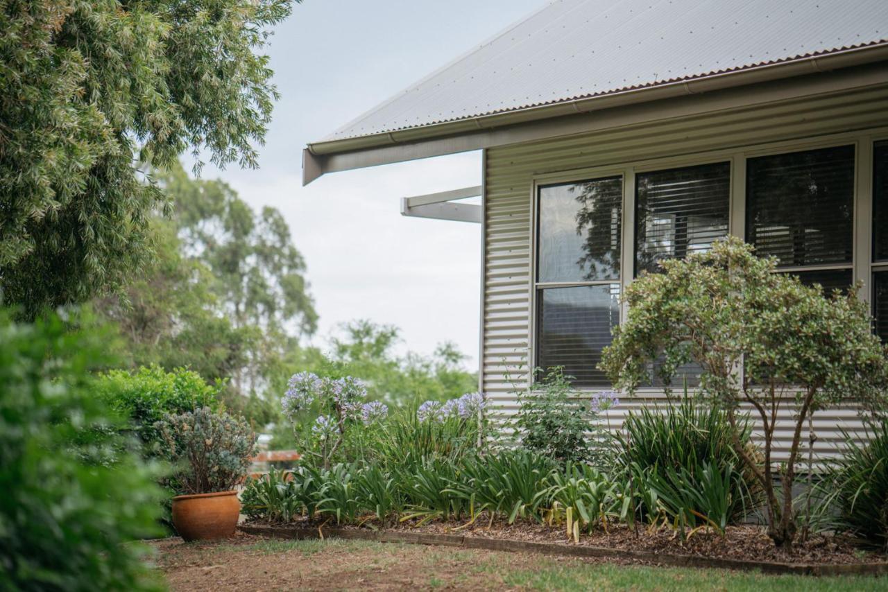 Elfin Hill Vineyard Accommodation 波高尔宾 外观 照片