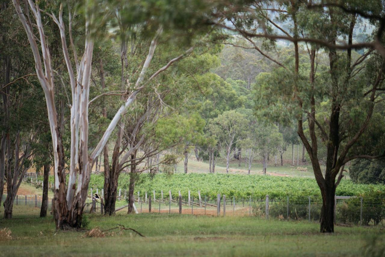 Elfin Hill Vineyard Accommodation 波高尔宾 外观 照片