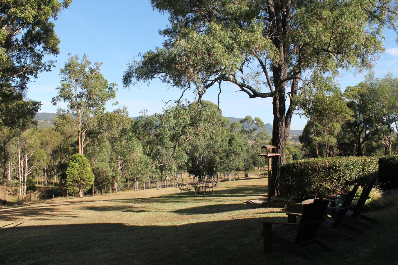 Elfin Hill Vineyard Accommodation 波高尔宾 外观 照片