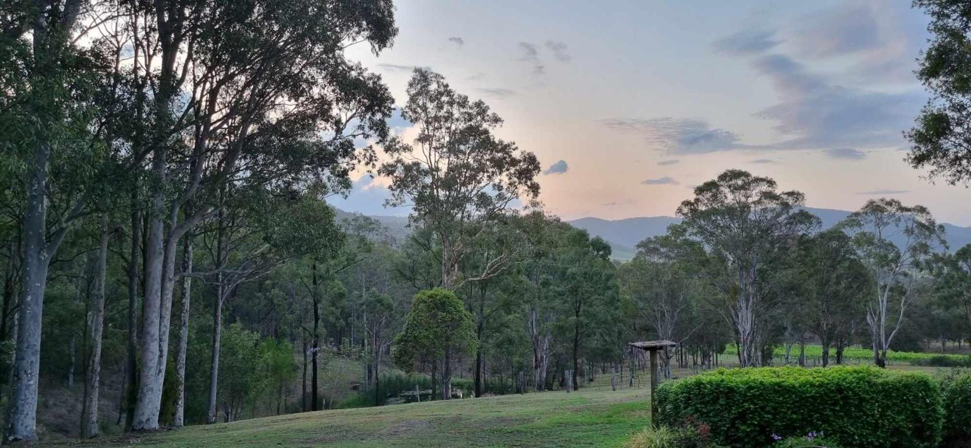 Elfin Hill Vineyard Accommodation 波高尔宾 外观 照片