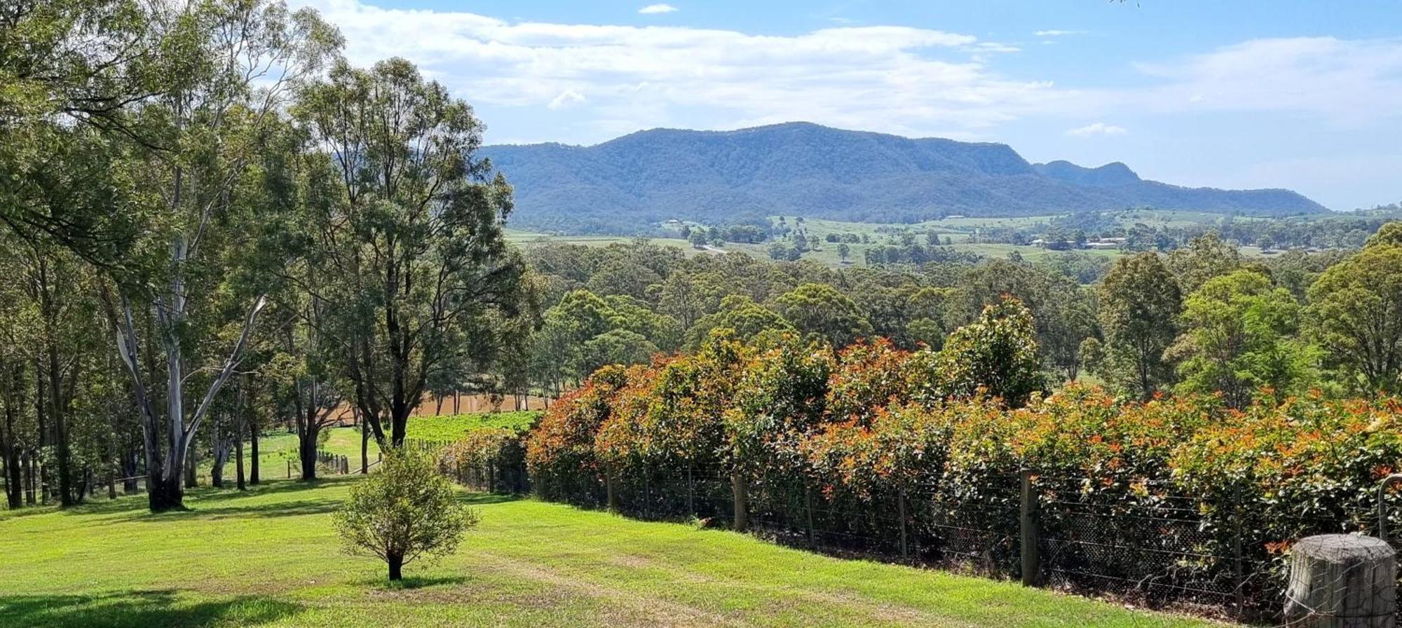 Elfin Hill Vineyard Accommodation 波高尔宾 外观 照片