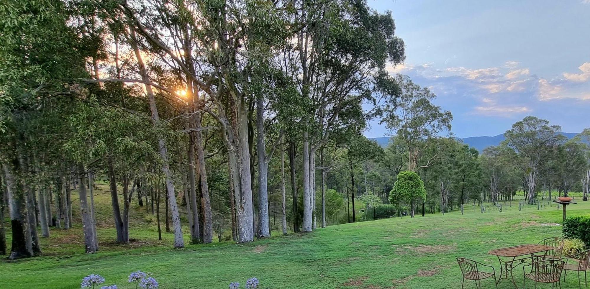 Elfin Hill Vineyard Accommodation 波高尔宾 外观 照片