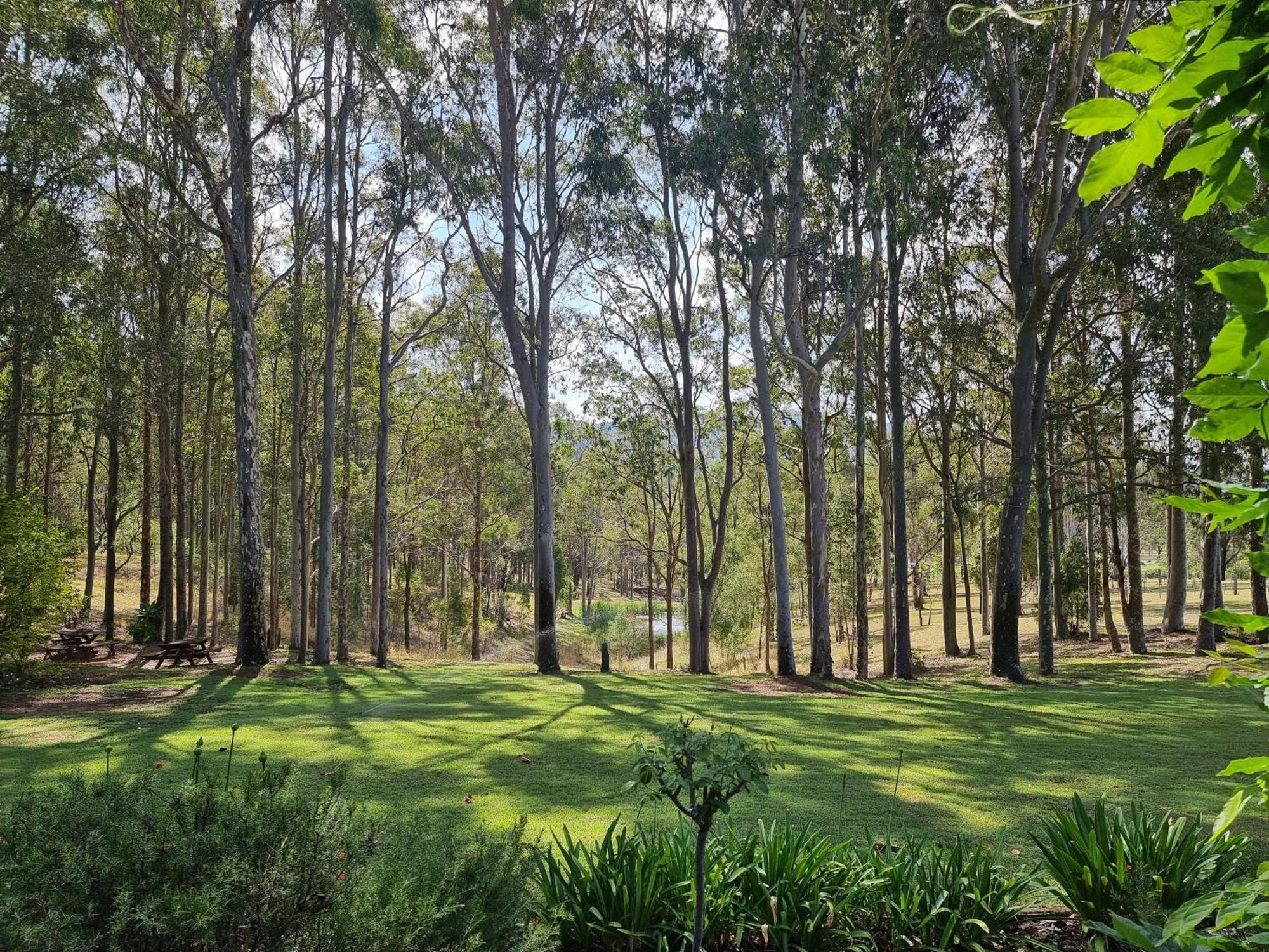 Elfin Hill Vineyard Accommodation 波高尔宾 外观 照片