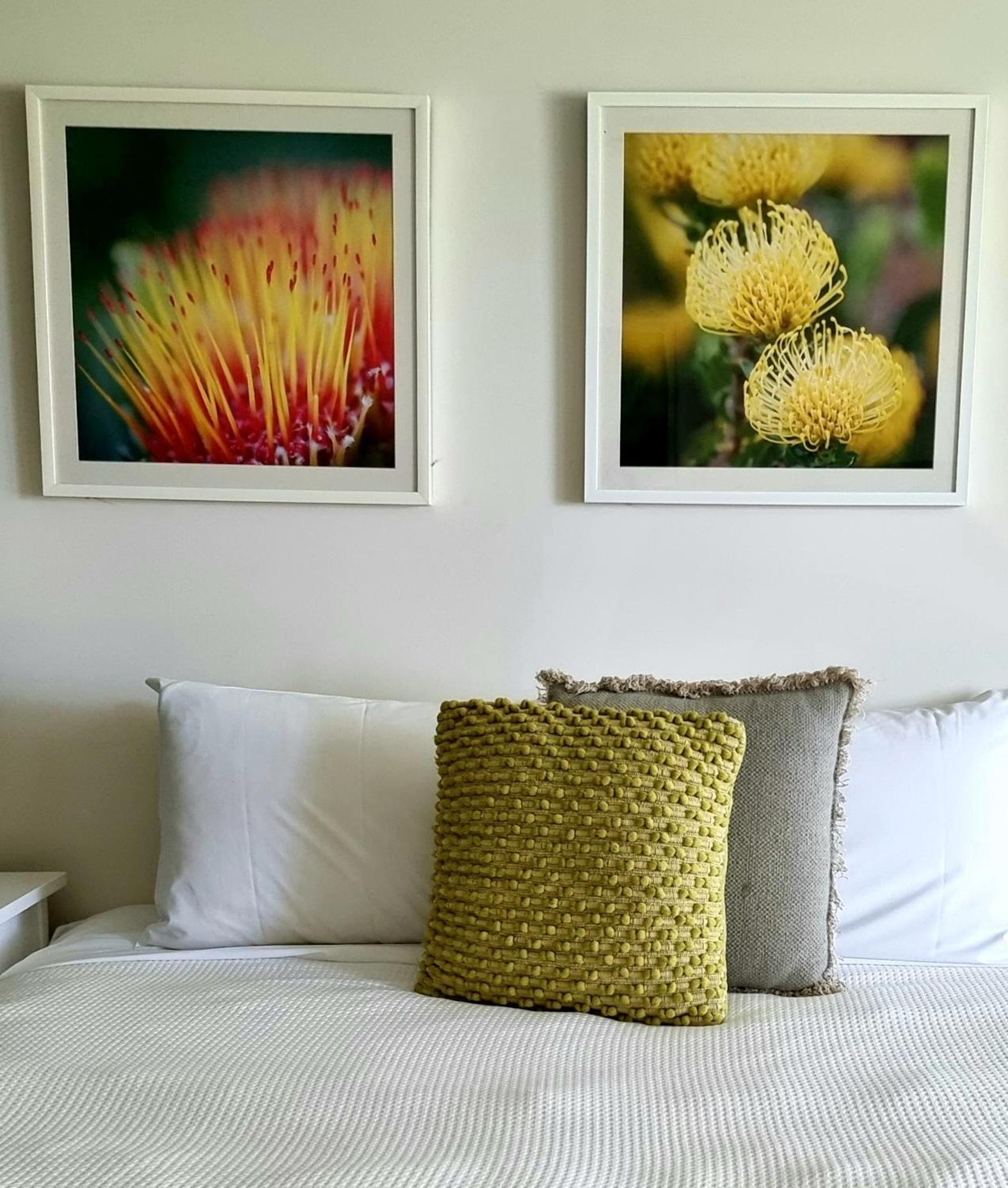 Elfin Hill Vineyard Accommodation 波高尔宾 外观 照片