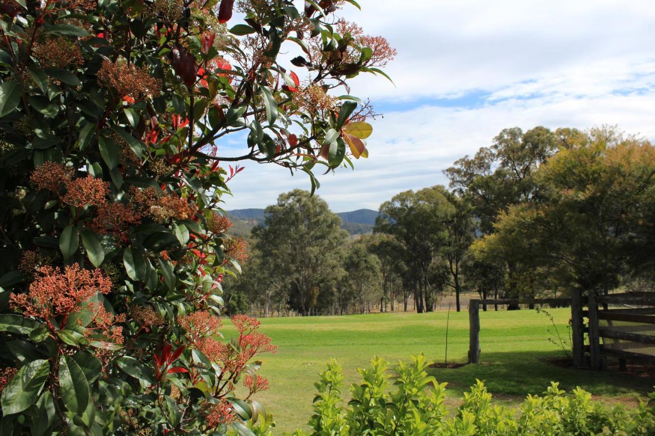 Elfin Hill Vineyard Accommodation 波高尔宾 外观 照片